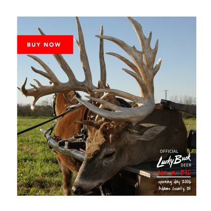 Lucky Buck Mineral Box 19.5 lbs